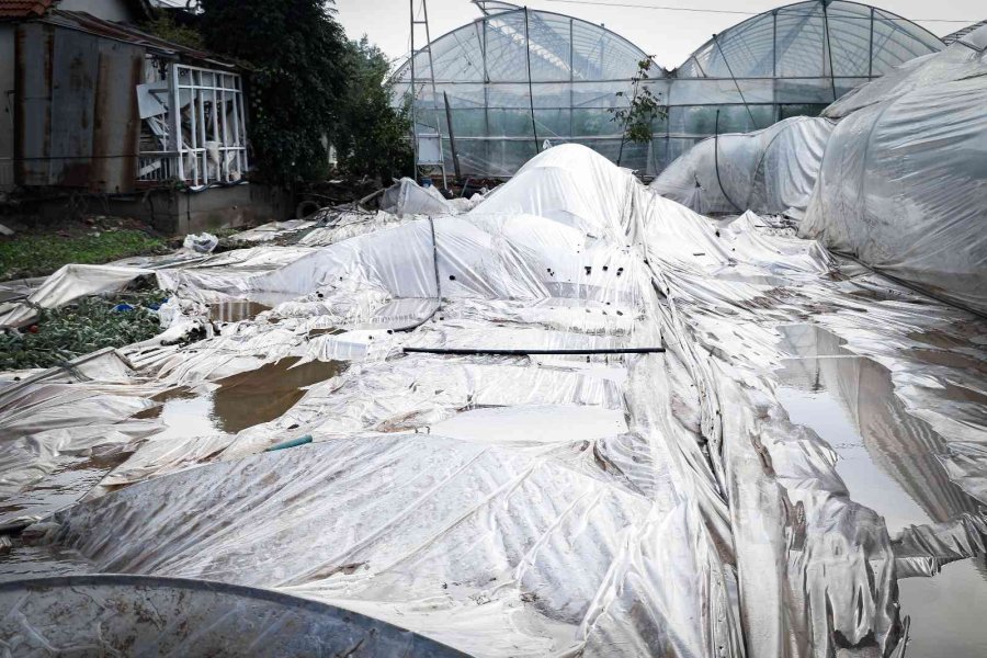 Kumluca’da Çiftçilerin Selden Zarar Gören Ürünlerini Zorlu Kurtarma Mesaisi