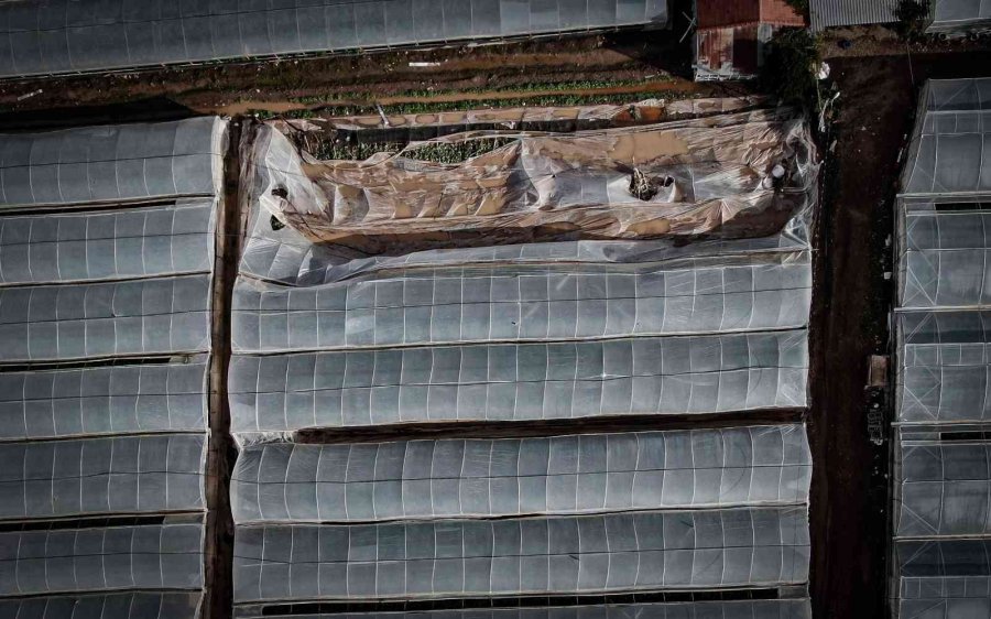 Kumluca’da Çiftçilerin Selden Zarar Gören Ürünlerini Zorlu Kurtarma Mesaisi