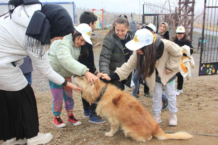 Erva’nın ’merhametli Nesil’ Projesi İlgi Görüyor