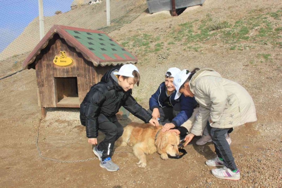Erva’nın ’merhametli Nesil’ Projesi İlgi Görüyor