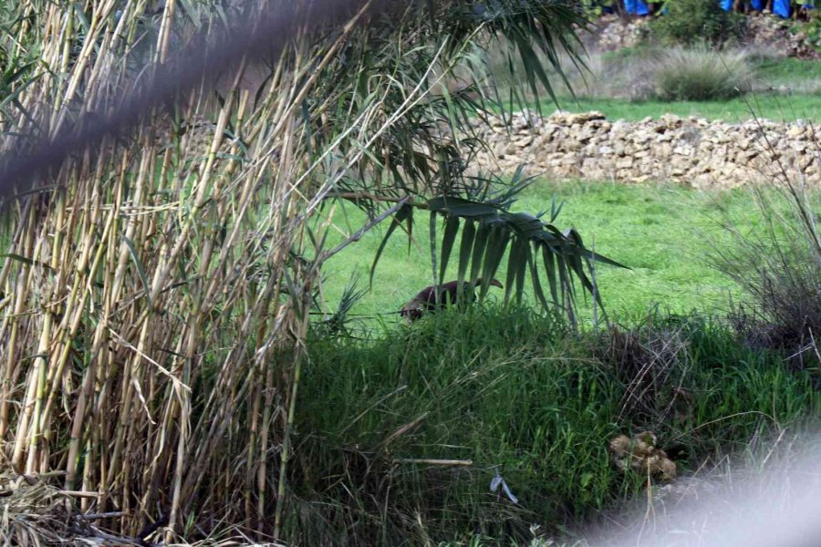 Akli Dengesi Yerinde Olmayan Kadın Binaya 3 Patlayıcı Koydu