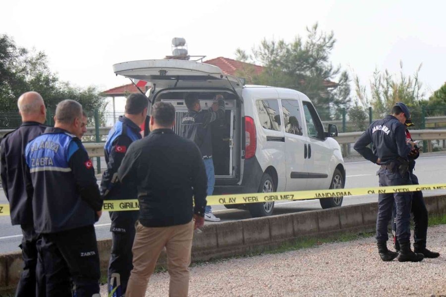 Akli Dengesi Yerinde Olmayan Kadın Binaya 3 Patlayıcı Koydu