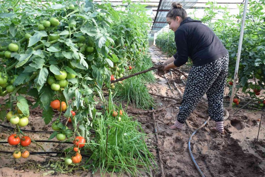 Kumluca’da Çamur İçinde Üretim
