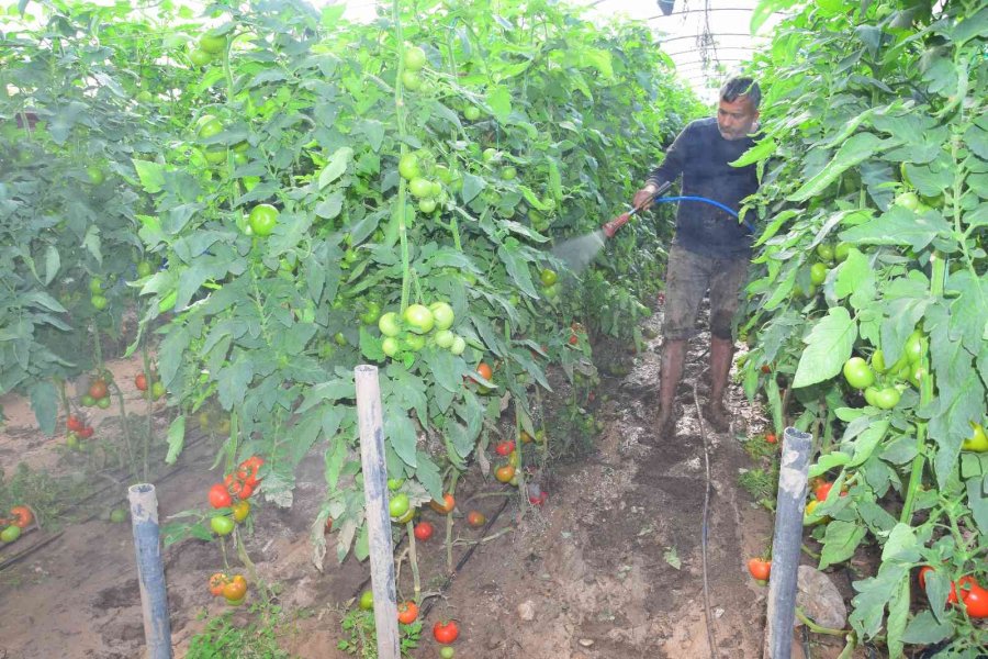 Kumluca’da Çamur İçinde Üretim