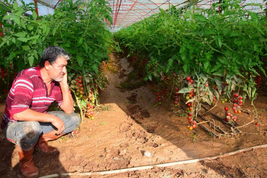 Kumluca’da Çamur İçinde Üretim