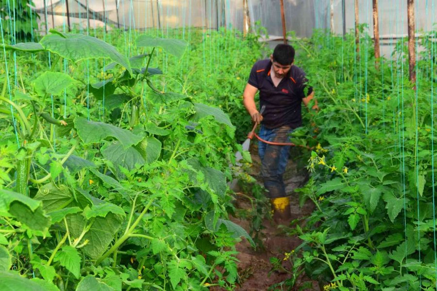 Kumluca’da Çamur İçinde Üretim