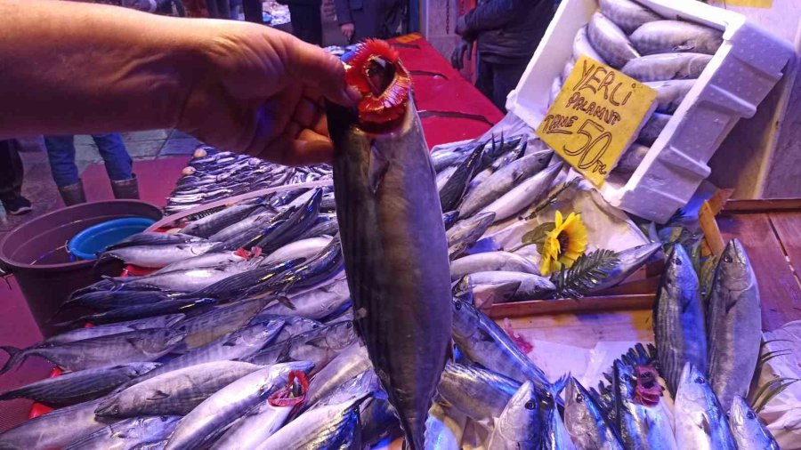 Balık Tezgâhlarında Yoğunluk