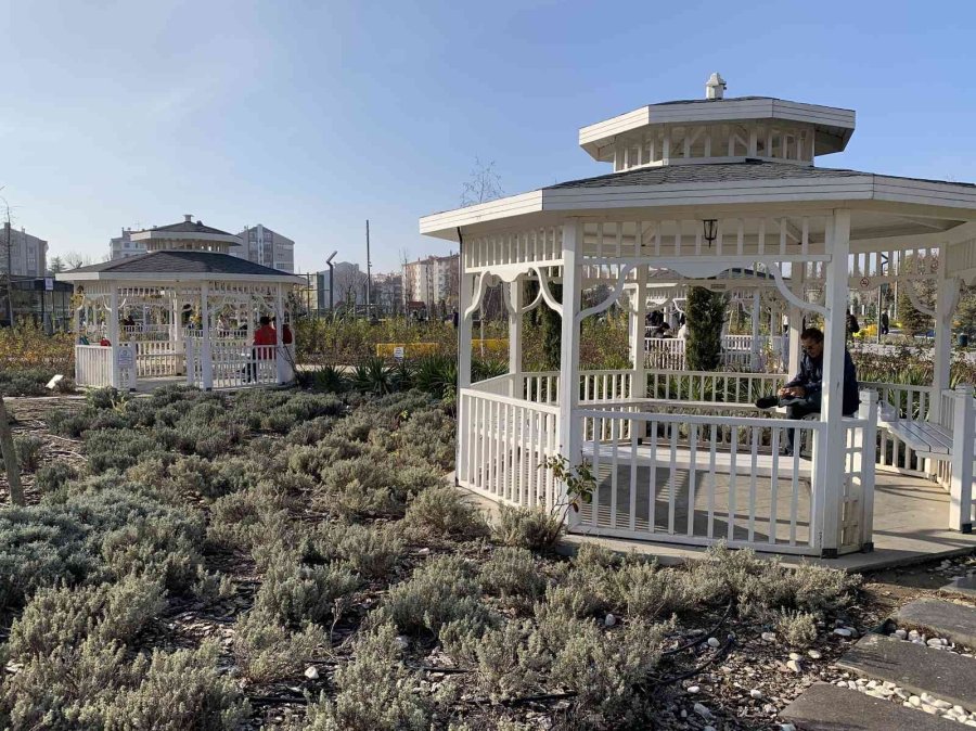 Eskişehirliler Güzel Havanın Tadını Millet Bahçesi’nde Çıkardı