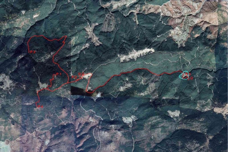 Çatacık Ormanları Ekoturizme Açılıyor