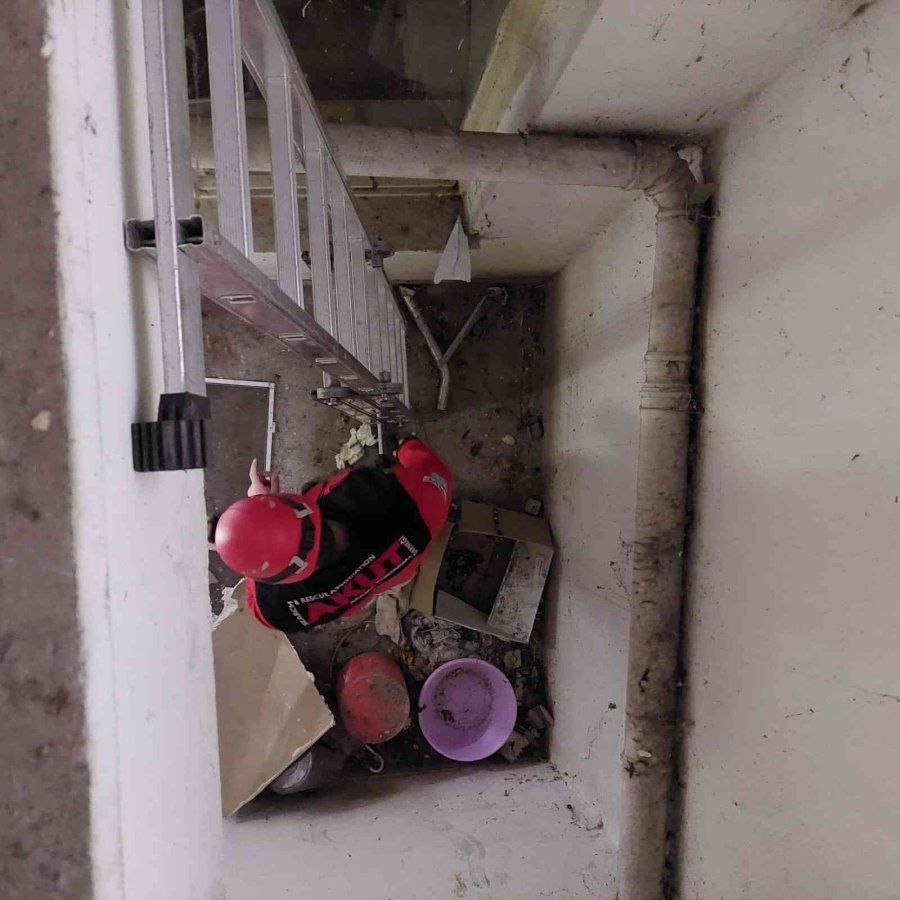 Apartman Boşluğunda Mahsur Kalan Kediyi Akut Ekibi Kurtardı