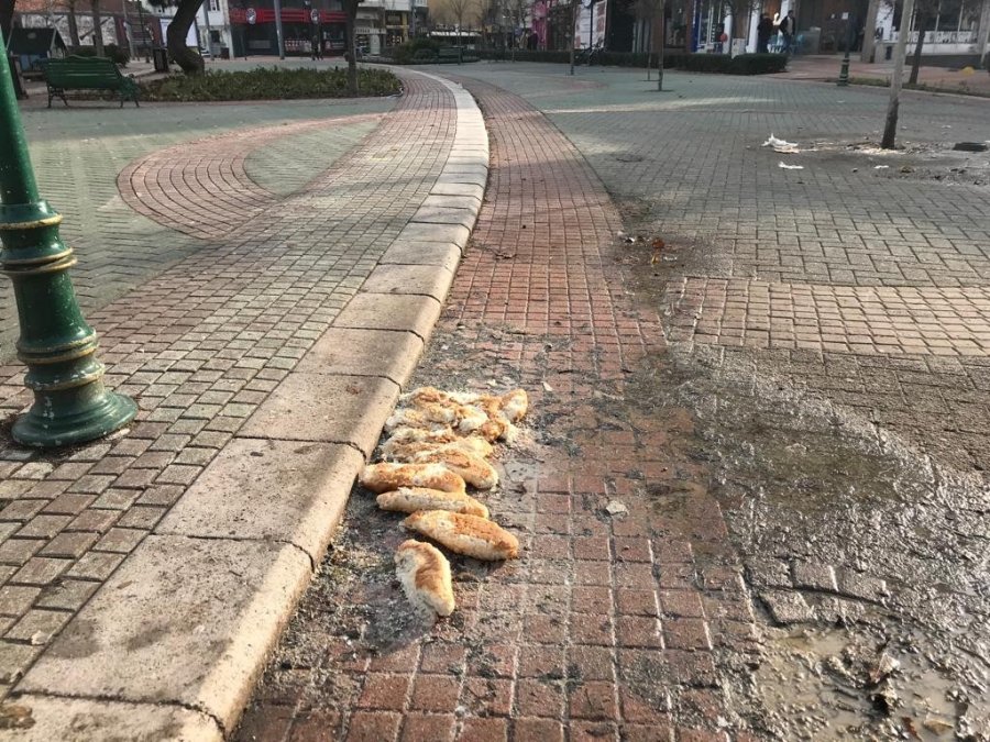 Sevimli Dostlar İçin Bırakılan Ekmekler Bu Hale Geldi