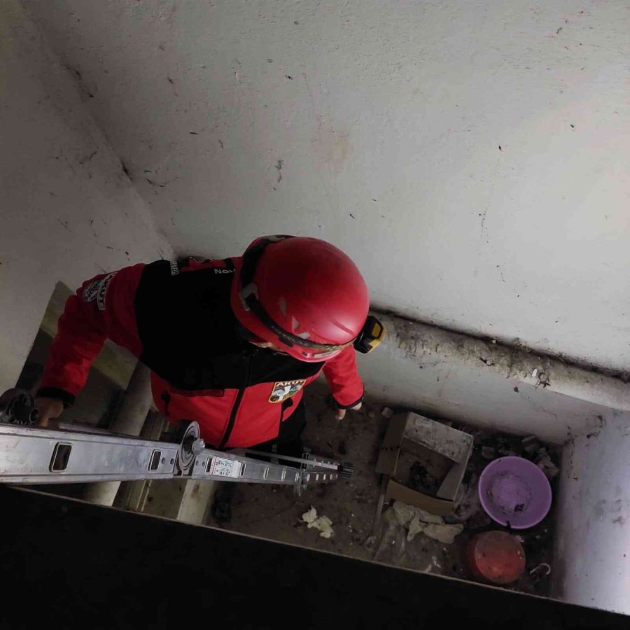 Havalandırma Boşluğunda Mahsur Kalan Kedi Akut Gönüllüleri Tarafından Kurtardı