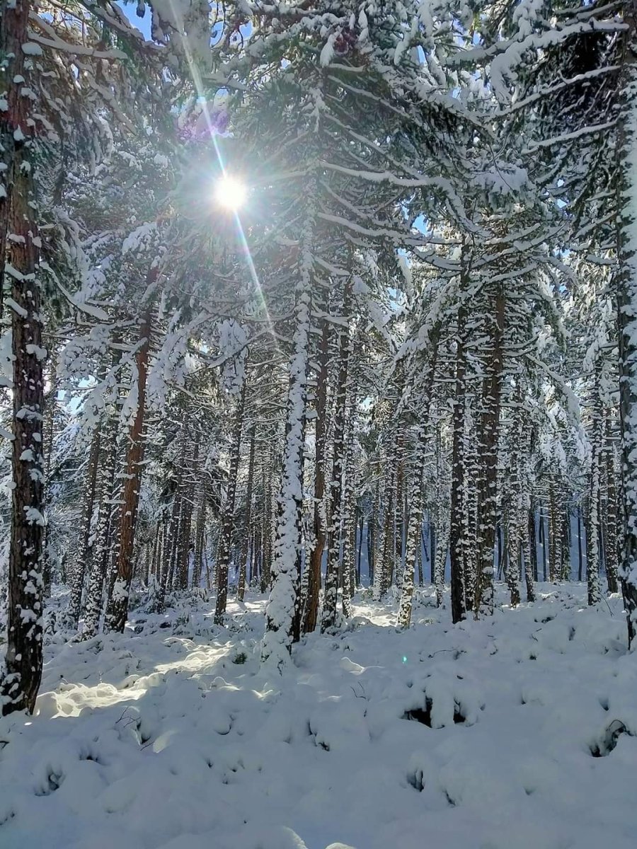 Türkmen Dağı Da Beyaza Büründü