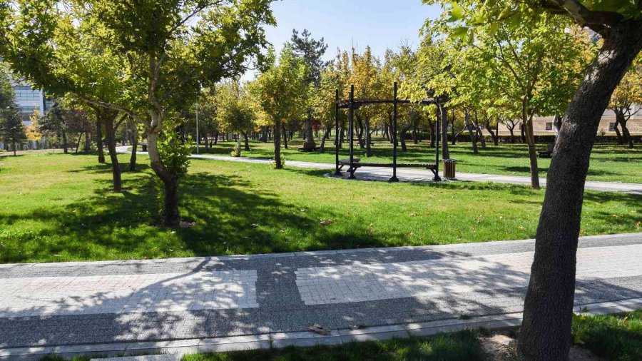 Selçuk Üniversitesi Dünyanın En Yeşil 431’inci Kampüsü