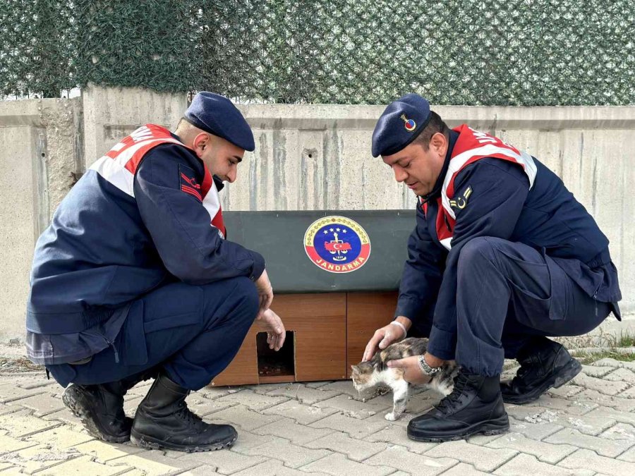 Jandarma, Geri Dönüşümden Topladığı Malzemelerle Hayvanlara Yuva Yaptı