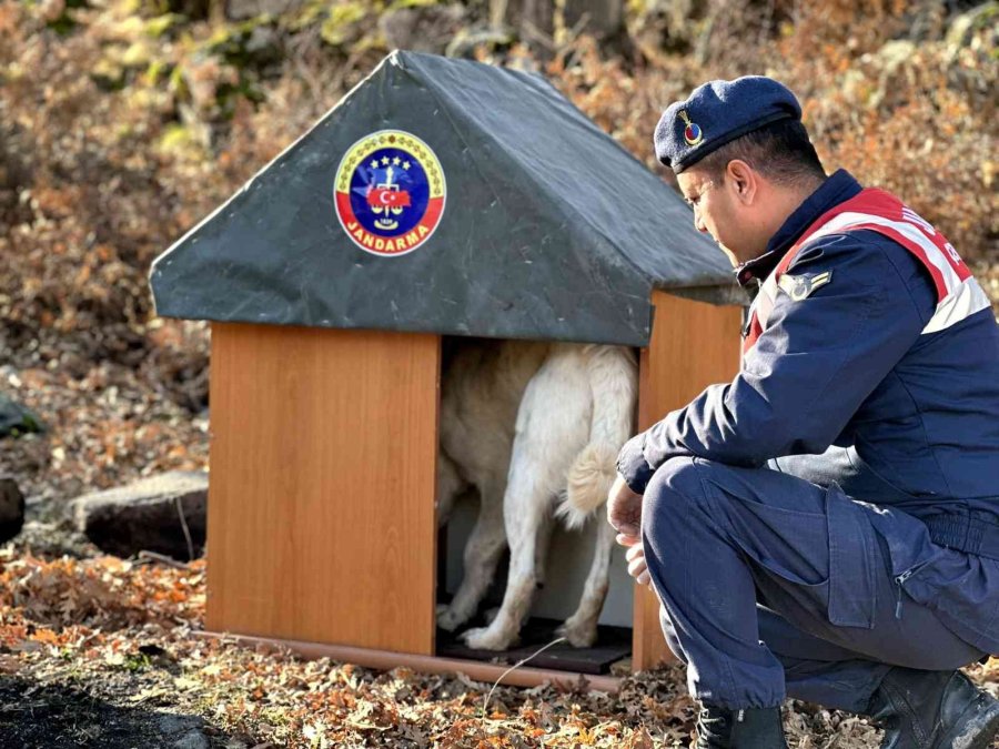Jandarma, Geri Dönüşümden Topladığı Malzemelerle Hayvanlara Yuva Yaptı
