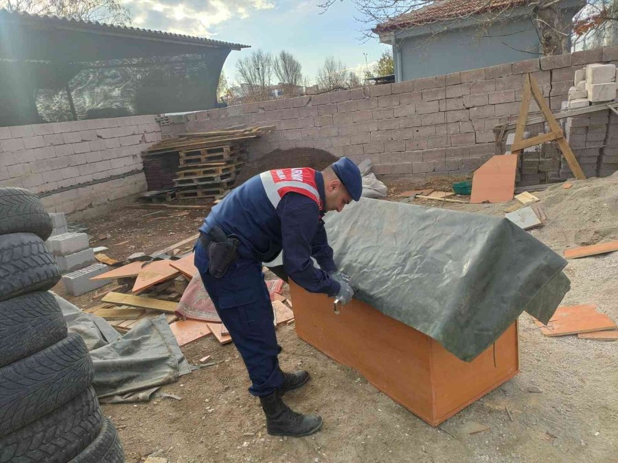 Jandarma, Geri Dönüşümden Topladığı Malzemelerle Hayvanlara Yuva Yaptı