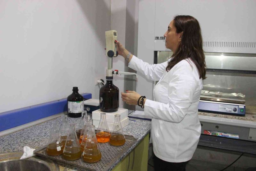 Toprak Analizi Verim Ve Kaliteyi Arttırıyor