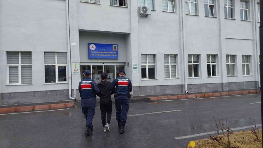 Pkk Üyesi Şahıs Jandarmadan Kaçamadı