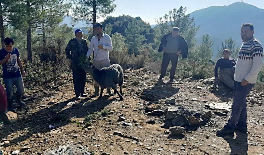 Mağarada Keçi Kurtarma Operasyonu