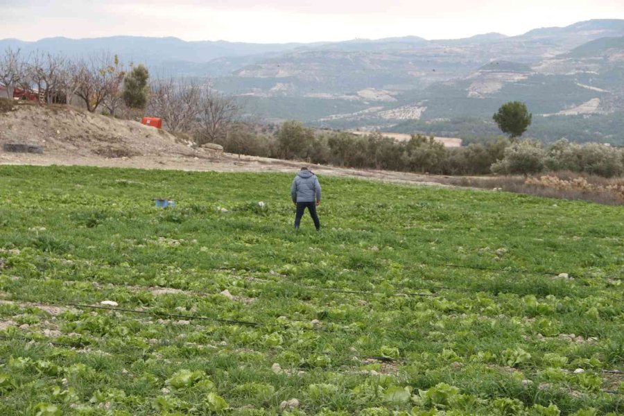 Göksu Nehri’ni Kirleten İki Fabrikaya 3 Milyon 73 Bin Tl Ceza