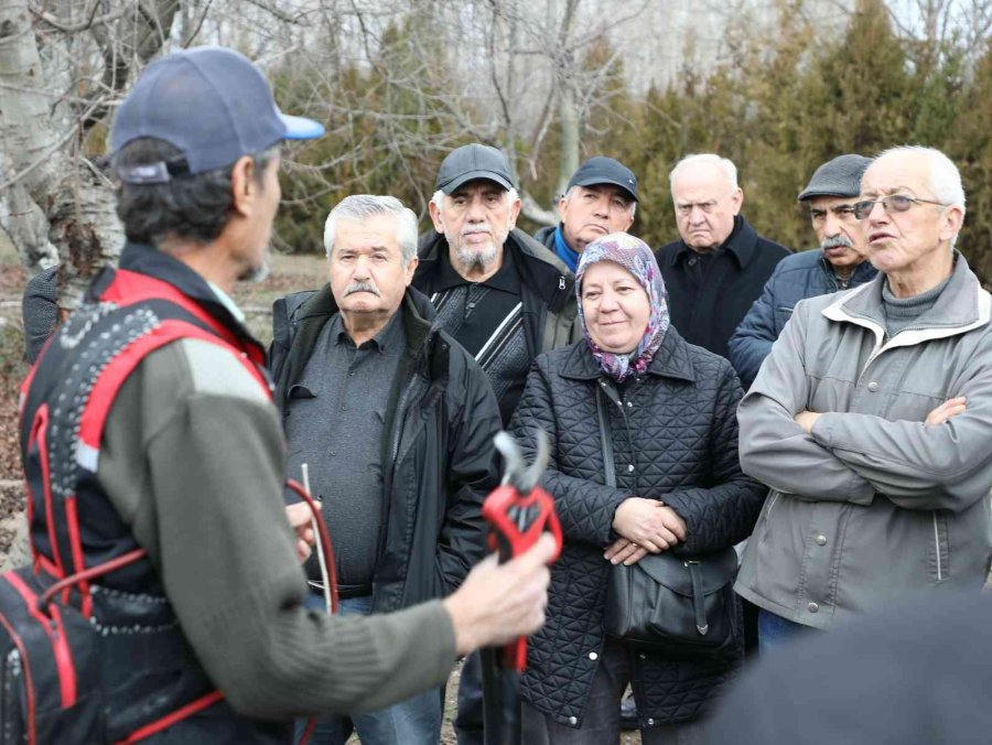 Eskişehir’de 50 Çiftçiye Meyve Ağaçları Budama Eğitimi