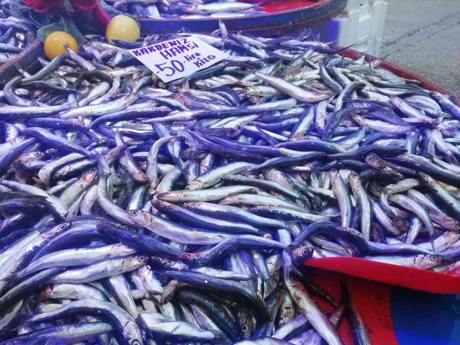 Hamsi Fiyatlarında Yüzde 50’ye Varan Düşüş
