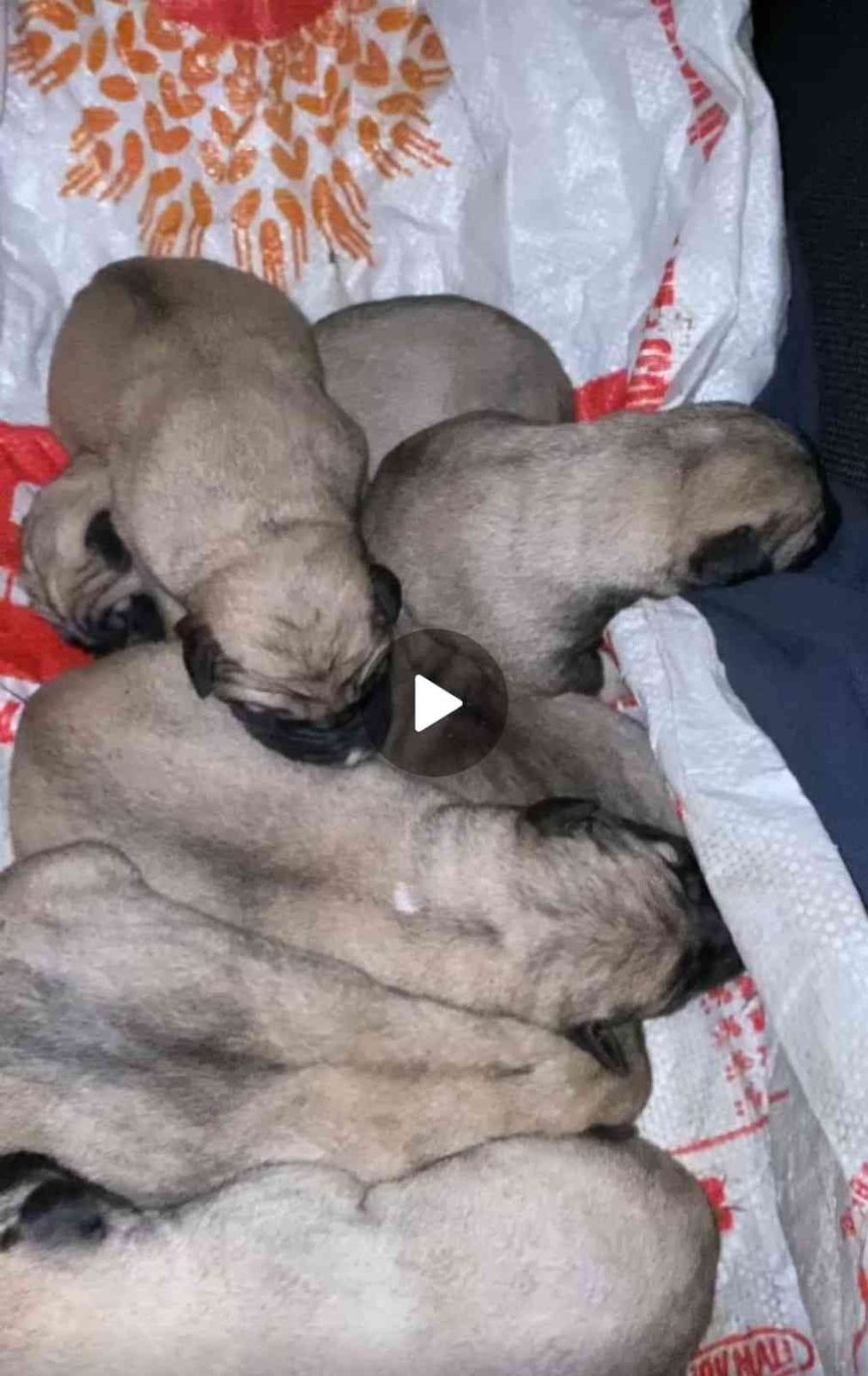 Eskişehir’de Vicdanları Hem Sızlatan Hem De Isıtan Olay