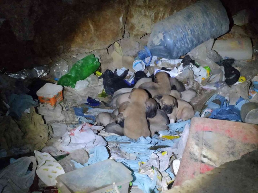 Eskişehir’de Vicdanları Hem Sızlatan Hem De Isıtan Olay