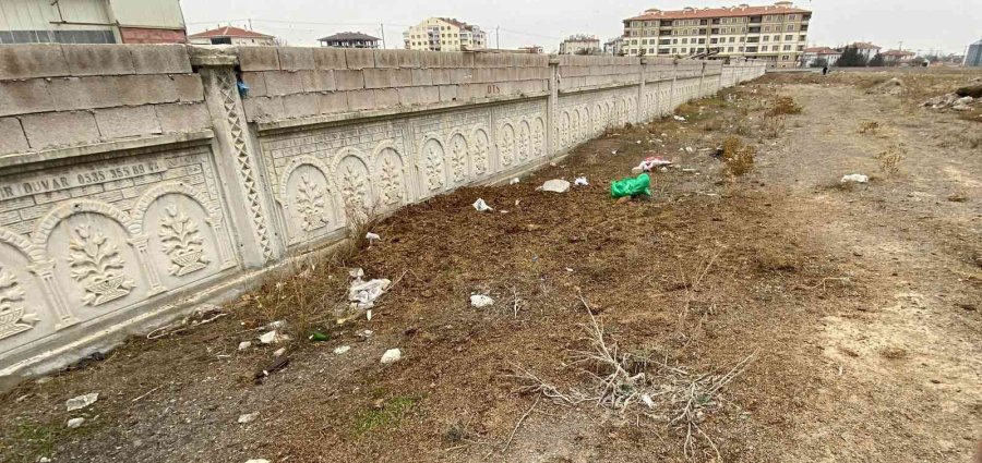 Konya’da Otlayan 50’dan Fazla Koyun Telef Oldu