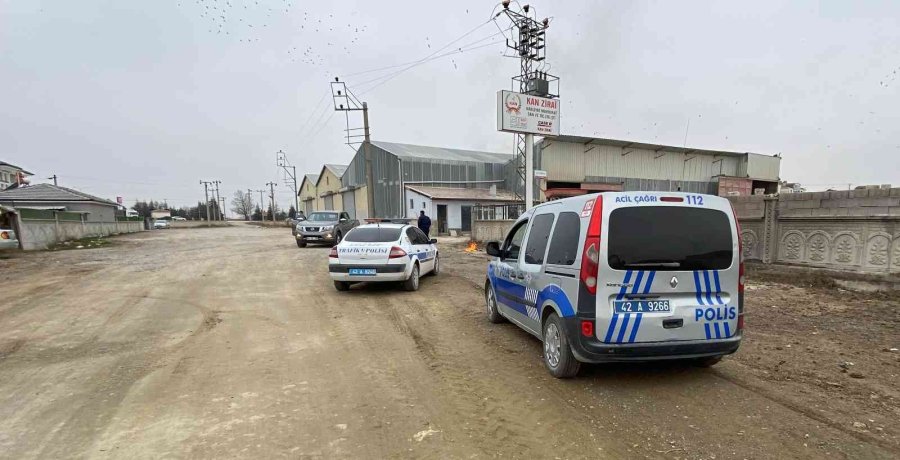 Konya’da Otlayan 50’dan Fazla Koyun Telef Oldu