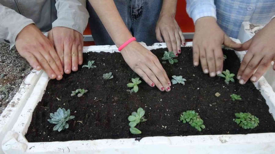 Tarım Lisesinin Özel Öğrencileri Üretti