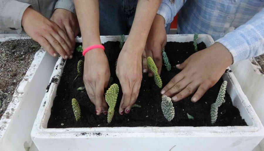 Tarım Lisesinin Özel Öğrencileri Üretti
