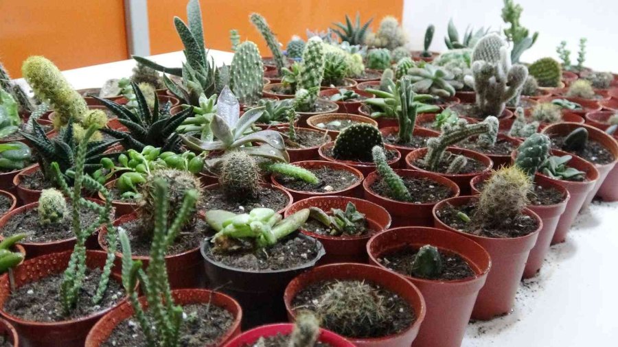 Tarım Lisesinin Özel Öğrencileri Üretti