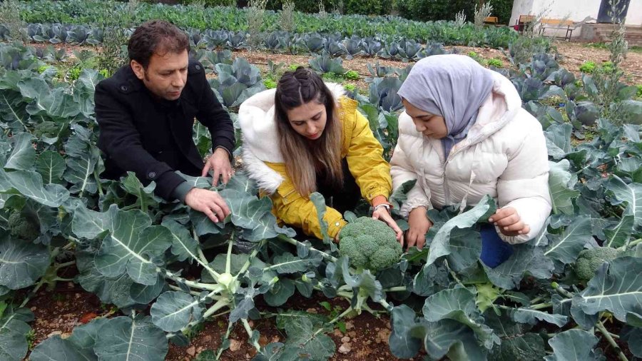 Tarım Lisesinin Özel Öğrencileri Üretti