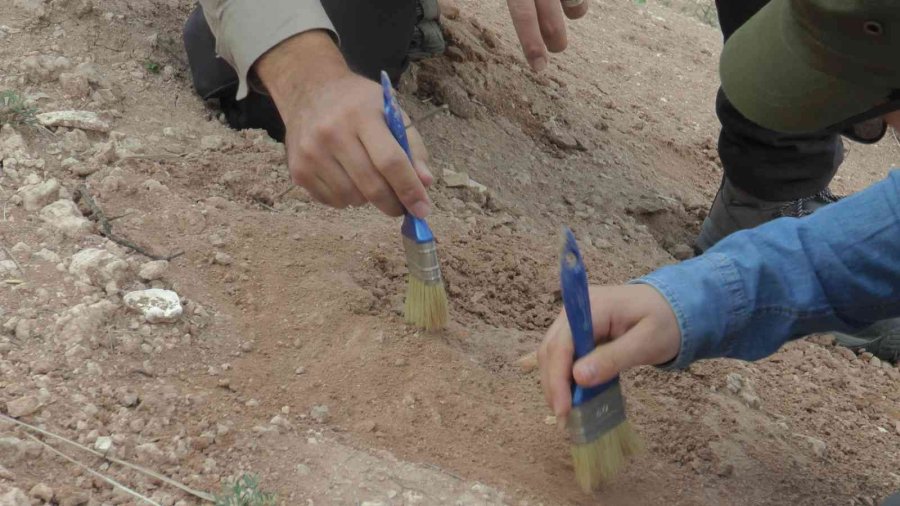 7.5 Milyon Yıllık Kazılarda Hedef Primat Bulmak