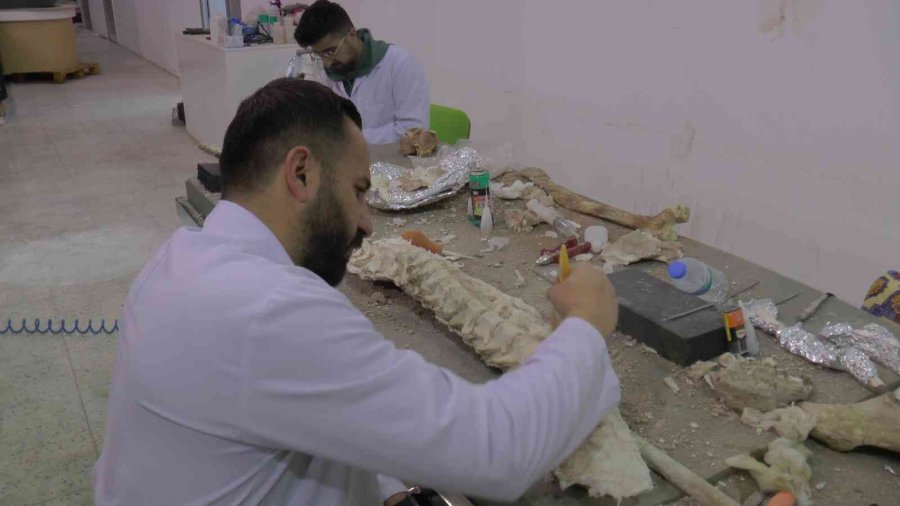 7.5 Milyon Yıllık Kazılarda Hedef Primat Bulmak