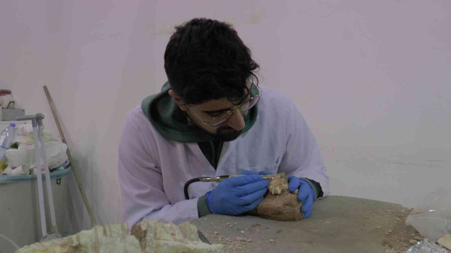 7.5 Milyon Yıllık Kazılarda Hedef Primat Bulmak