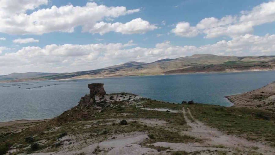 7.5 Milyon Yıllık Kazılarda Hedef Primat Bulmak