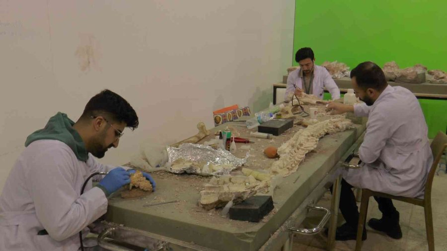 7.5 Milyon Yıllık Kazılarda Hedef Primat Bulmak