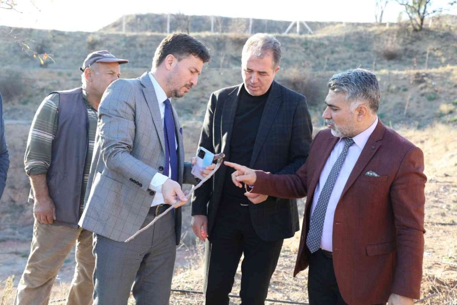 Kuruyan Fidanların Yerine Yenisi Dikildi