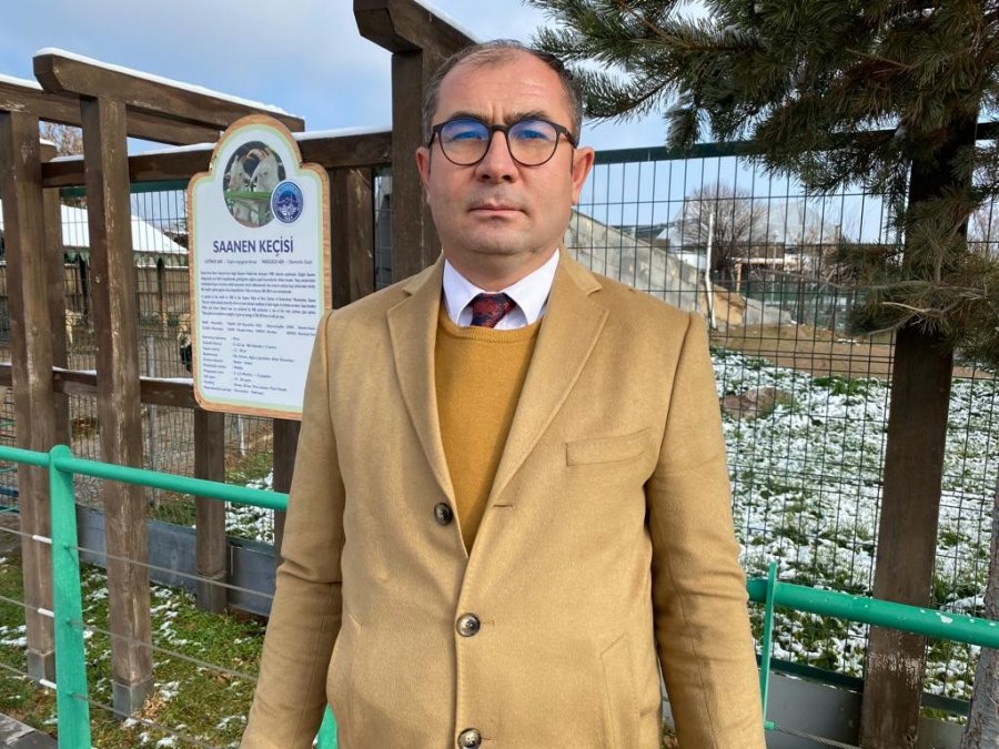 Hayvanlara Zorlu Kış Şartları Hissettirilmiyor