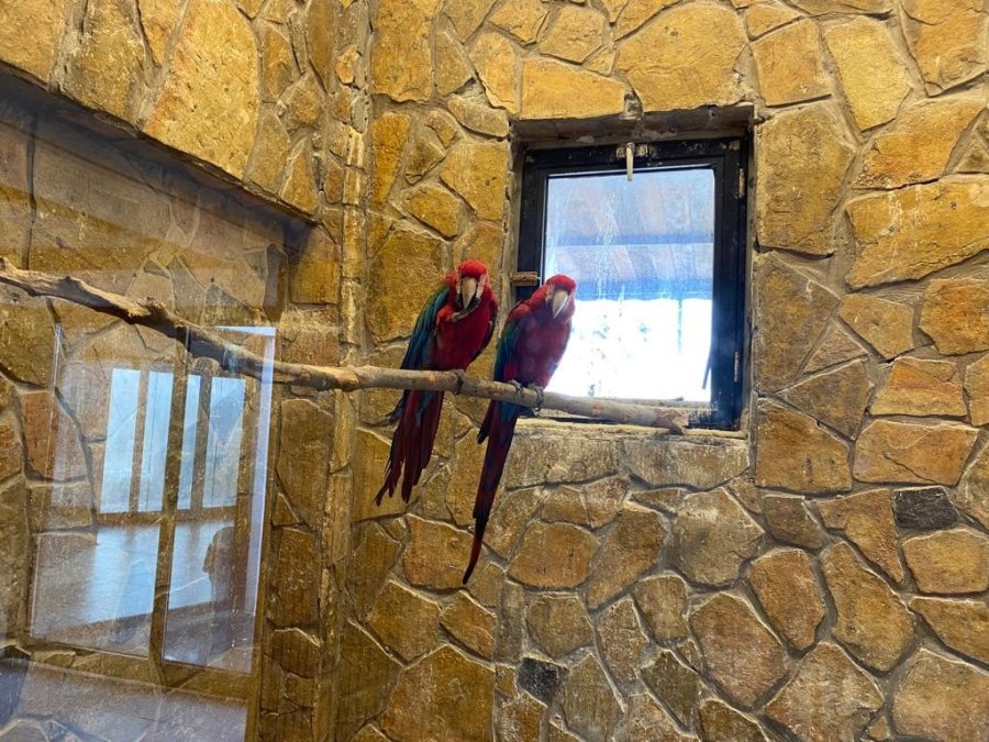 Hayvanlara Zorlu Kış Şartları Hissettirilmiyor