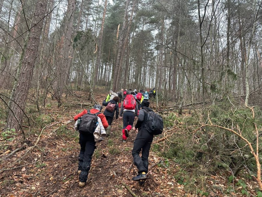Doğa Tutkunlarına Bozcaarmut’ta Yoğun Sis Eşlik Etti