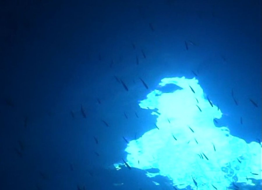 Kırkgöz Suluin Mağarası’nın Biyolojik Haritası Çıkarılacak