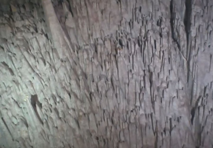 Kırkgöz Suluin Mağarası’nın Biyolojik Haritası Çıkarılacak