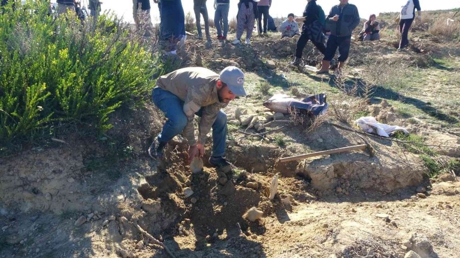 Öldürülüp Ağaç Dikim Alanına Atılan Yavru Köpek, İşçiler Tarafından Gömüldü