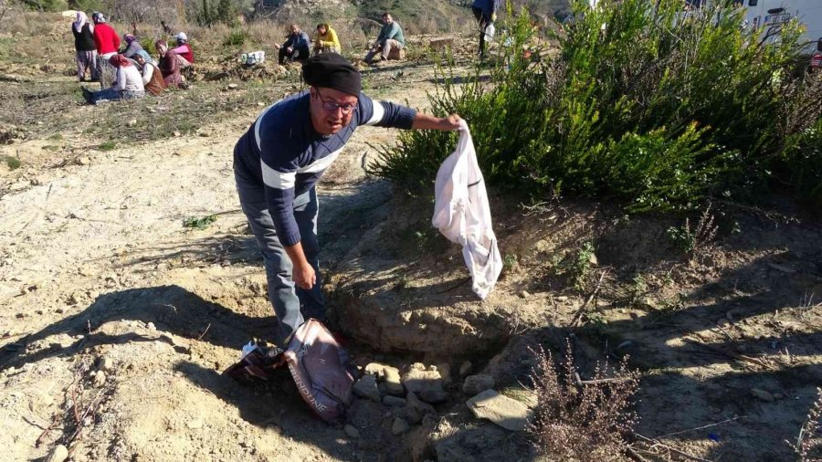 Öldürülüp Ağaç Dikim Alanına Atılan Yavru Köpek, İşçiler Tarafından Gömüldü