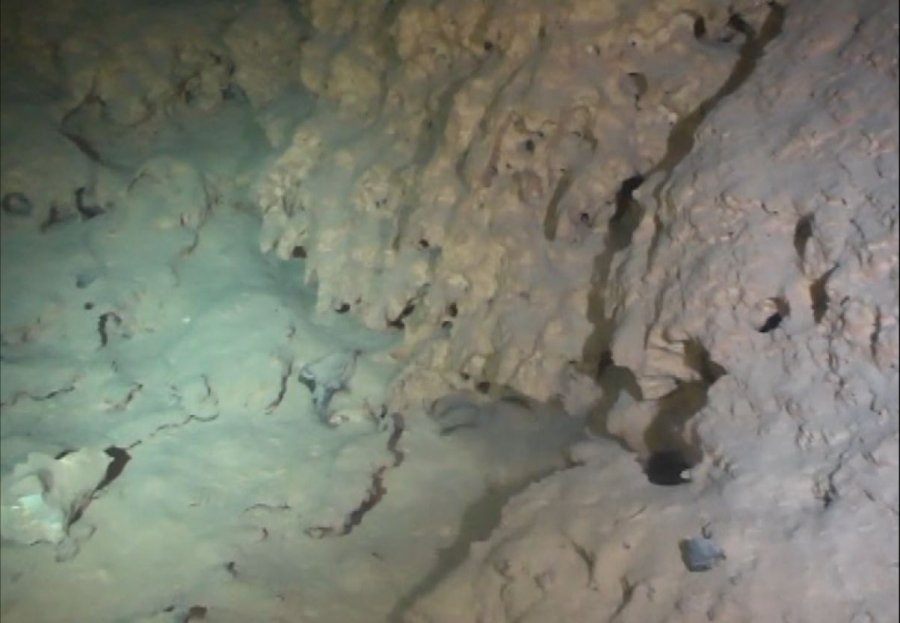 Kırkgöz Suluin Mağarası’nın Biyolojik Haritası Çıkarılacak