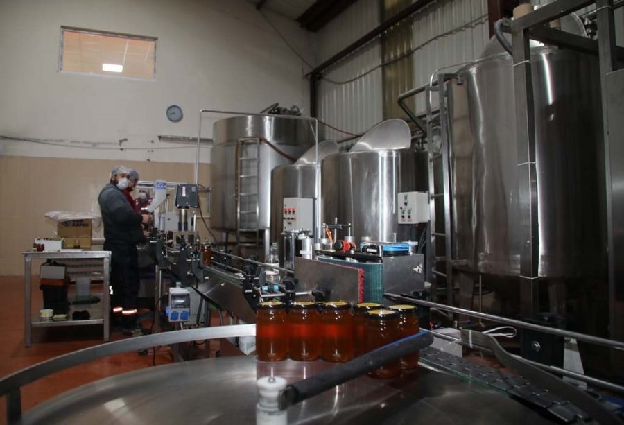 Arı Ürünleri İşleyen Tesislere Hibe Desteği